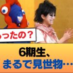 【悲報】6期生、見世物小屋みたいになる #乃木坂46 #乃木坂46のスター