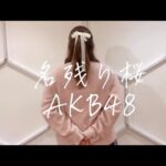 【82kg】 名残り桜/ AKB48 本気で踊ってみた