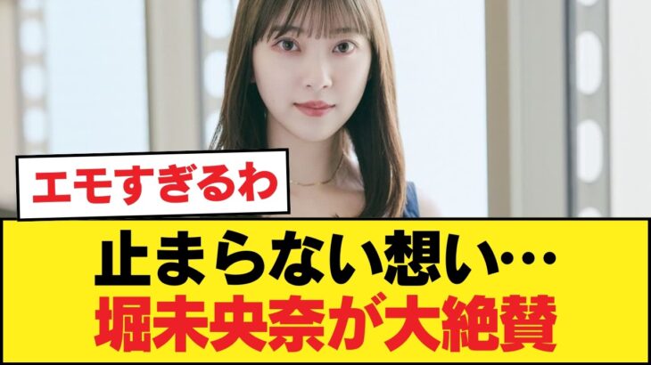 乃木坂46OG堀未央奈、思い出がとまらなくなる絶賛！！【乃木坂46】