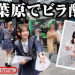 【AKB48】春コンチケットまだあります！！！