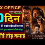 Dhurandhar 2 Box Office Collection, Ranveer Singh, Dhurandhar The Revenge Day 9 Collection Worldwide