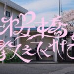 乃木坂46 『桜橋を教えてくれた』MUSIC VIDEO