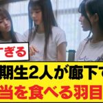 【悲報】6期生2人が廊下で弁当を食べる羽目に…これが選抜のリアル…【乃木坂46】
