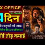 Dhurandhar 2 Box Office Collection, Ranveer Singh, Dhurandhar The Revenge Day13 Collection Worldwide