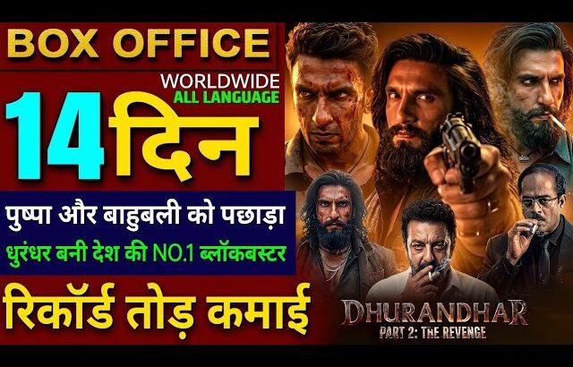Dhurandhar 2 Box Office Collection, Ranveer Singh, Dhurandhar The Revenge Day13 Collection Worldwide