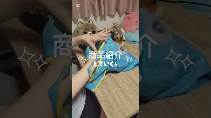 平日の帰り道VLOG＆商品紹介🎶 #地下アイドル #vlog #商品紹介