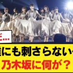 X『乃木坂メンバーは誰にも刺さらない歌を歌わされて可哀想』【乃木坂46】