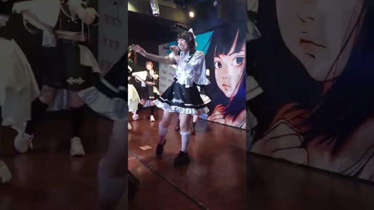 #ルートプリュフォール #地下アイドル #るとぷり  #アイドル #ライブ  #Kawaii #idol #池袋soundpeace
