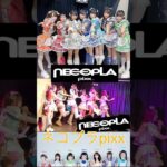 【ネコプラpixx.】やっぱこの曲だよね♪ #ライブ #アイドル #shorts