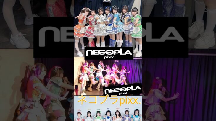 【ネコプラpixx.】やっぱこの曲だよね♪ #ライブ #アイドル #shorts