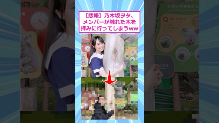 【悲報】乃木坂ヲタ、メンバーが触れた木を拝みに行ってしまうww 【 2ch面白いスレ 】#2ch #2ch面白いスレ #5ch #２ちゃんまとめ#shorts
