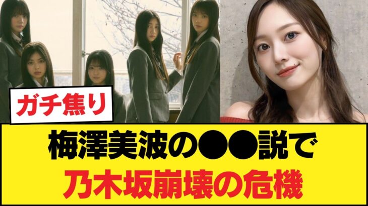 梅澤美波の●●説で乃木坂崩壊の危機？！オタク大荒れ… ◯ 菅原の重圧ww 【乃木坂46】