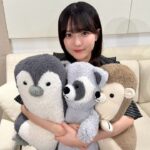 乃木坂46 瀬戸口心月 のぎおび showroom 2026/6/11