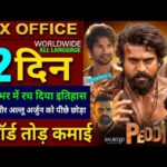 Peddi Box Office Collection, Haunted 3D, Cocktail 2, Peddi Movie 10th Day Collection Worldwide,