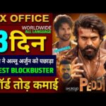 Peddi Box Office Collection, Haunted 3D, Cocktail 2, Peddi Movie 12th Day Collection Worldwide,