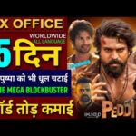 Peddi Box Office Collection, Haunted 3D, Cocktail 2, Peddi Movie 14th Day Collection Worldwide,