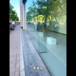 広島ポンサーVlog② #広島県 #vlog #国内旅行 #地下アイドル