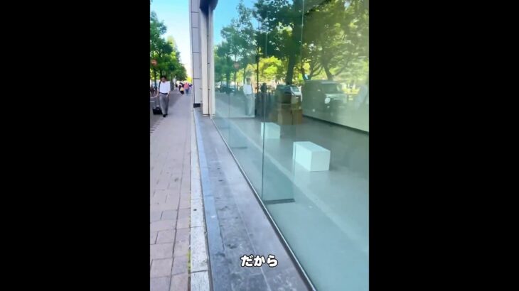広島ポンサーVlog② #広島県 #vlog #国内旅行 #地下アイドル