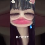 ねこにげた