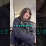 辞めたいアイドルとの修羅場が地獄すぎて公開