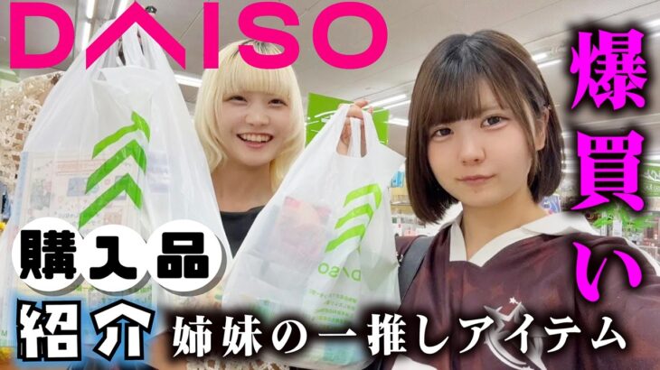 【DAISO】アイドルと藝大院生の姉妹で100均で爆買いしたら…一推しアイテム紹介…【のえのん】