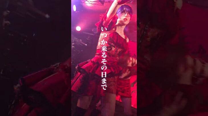 ZIGA「Future Echo」#ZIGA #idol #アイドル #地下アイドル  #ライブ #live