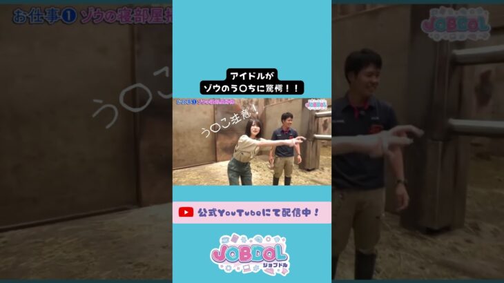 アイドルがゾウのう〇ちを見て驚愕！ #shorts