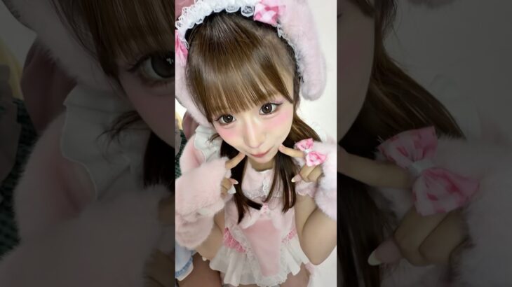 きゅるきゅる上目遣いが反則級にかわいい動物ちゃんたち🥺🎀🫶#だいすきテスト #PixelRibbon #ぴくりぼ #ゆぴえな #アイドル