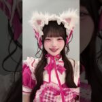 猫ちゃん🐈‍⬛#ilife