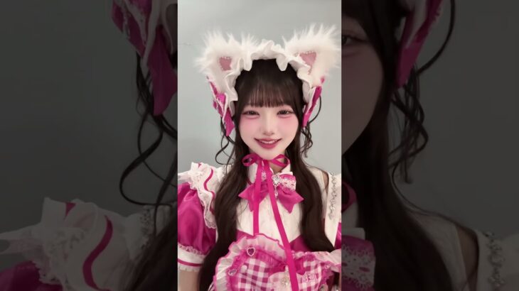 猫ちゃん🐈‍⬛#ilife