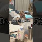 仕事から必死に逃げるアイドル、最後に“あるもの”まで消えましたwww #bluegoats #アオヤギチャンネル
