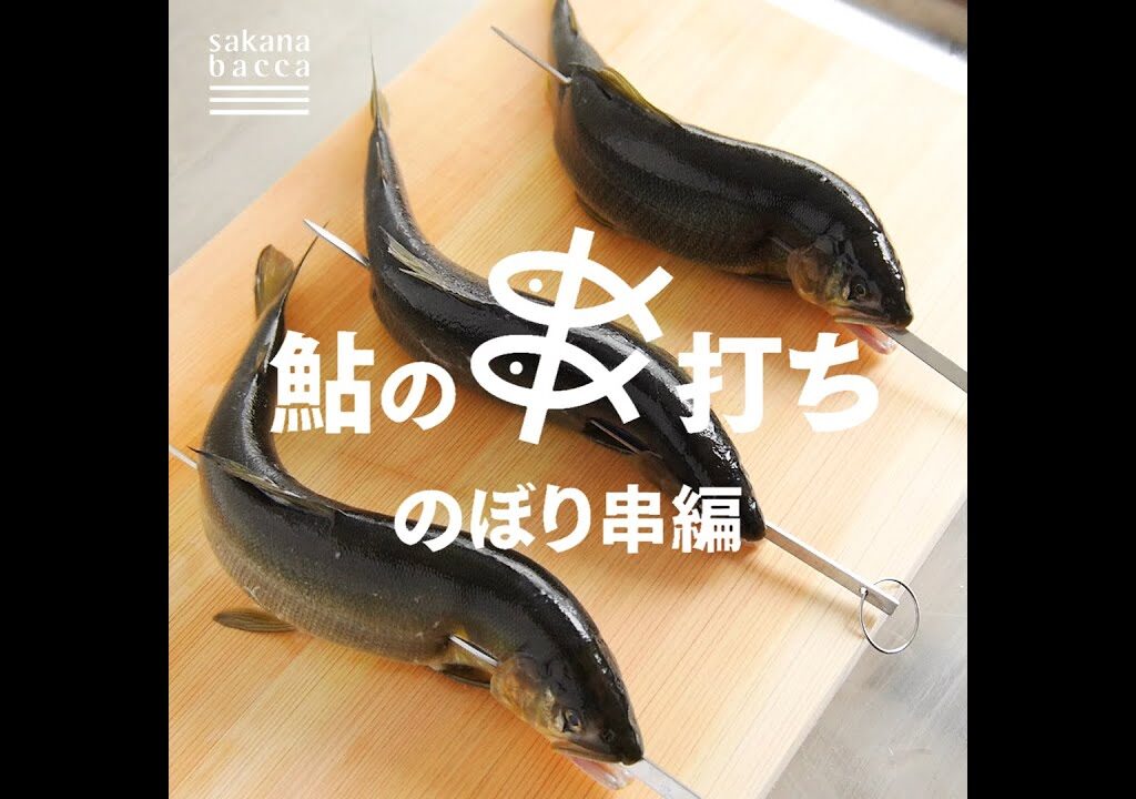【魚のきほん】鮎の串打ち のぼり串編