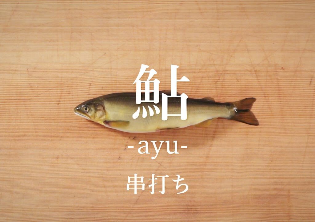 鮎（あゆ）のさばき方：串打ち – How to filet Ayu ver.Kushiuchi-｜日本さばけるプロジェクト（海と日本プロジェクト）