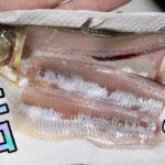 生きてるアユでしかできない料理が存在します。それはいったい何だと思いますか？