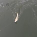 水中糸強度テスト