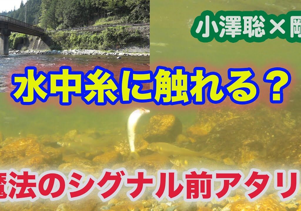 鮎釣り 小沢聡×剛  水中糸に触れる？
