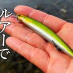 新発売の鮎釣り専用ルアーを使って手軽に鮎が釣れるのか？検証【アユイングミノー】