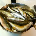 川で魚を大量捕獲して塩焼きにする