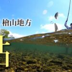 北海道檜山地方 鮎【北日本トレイルvol.6】