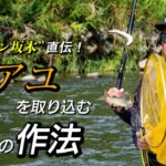 大アユを確実にタモに収める！取り込みの作法を解説