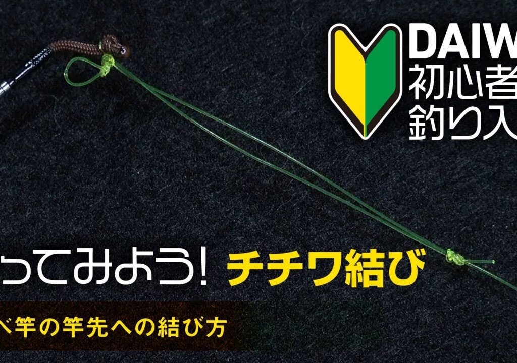 【DAIWA 初心者釣り入門 】やってみよう！チチワ結び～のべ竿の竿先への結び方～