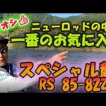 #41【NEWロッド紹介④】イチオシ！スペシャル競RSの８５－８２ZD　有田川で使ってみた　★鮎　入れ追い