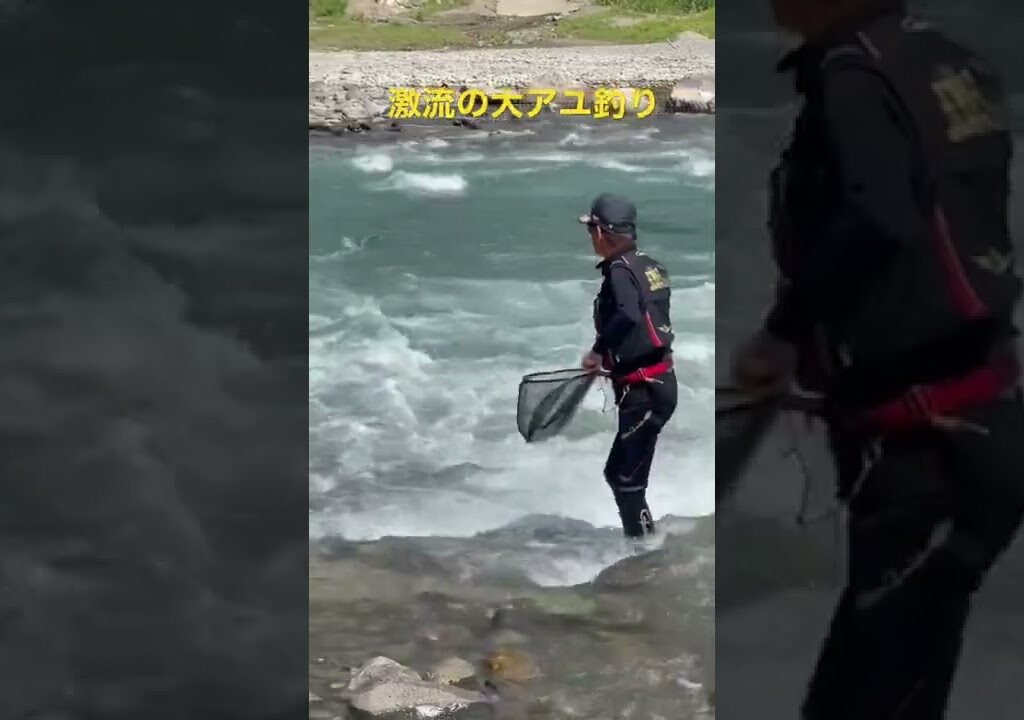激流に潜む大アユを狙う。レジェンド野嶋玉造さんの球磨川巨アユ釣りの模様を、つり人チャンネルで公開中。