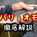鮎釣り　背バリとオモリ【徹底解説】背バリ自作