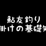 鮎  友釣り仕掛け  各パーツに使う糸は何がいい？徹底解説【初心者必見】