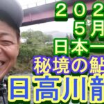 鮎釣り 日高川龍神 小澤剛 友釣り無双 2021年