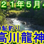 鮎釣り 日高川龍神 小澤剛 友釣り無双 2021年