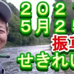 鮎釣り 振草川 小澤剛 友釣り無双 2021年