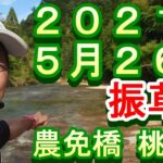 鮎釣り 振草川 小澤剛 友釣り無双 2021年