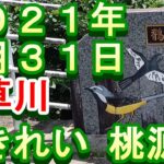 鮎釣り 振草川 小澤剛 友釣り無双 2021年